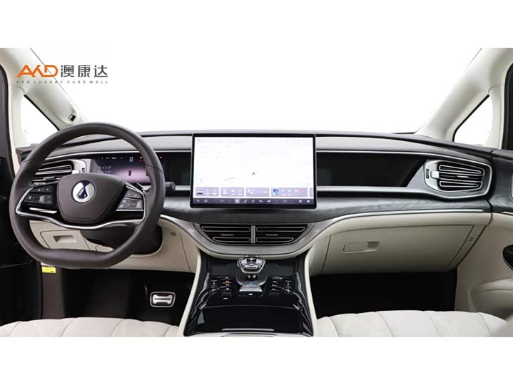 Фото 5 - Denza D9