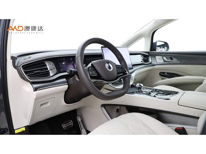 Фото 6 - Denza D9