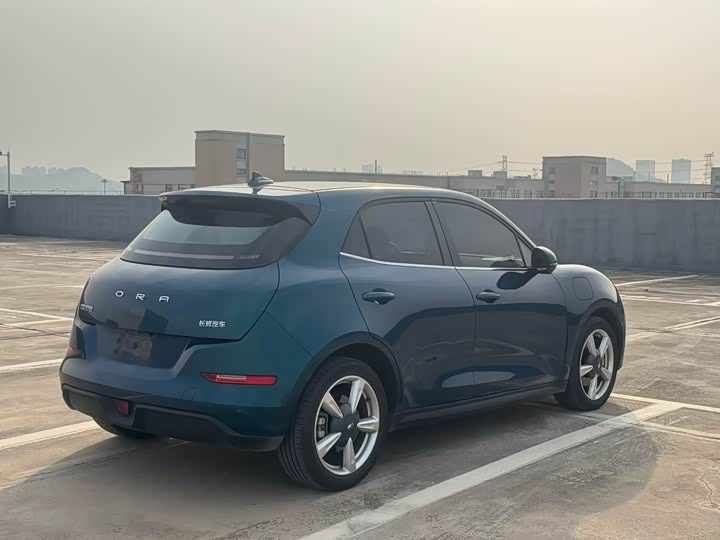 Фото 6 - Ora Good Cat (03)