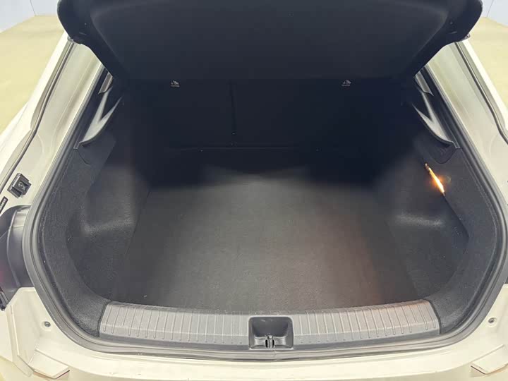 Фото 7 - Volkswagen Lamando L