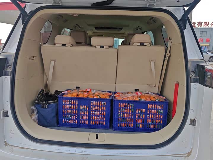 Фото 4 - Buick GL8 Hybrid