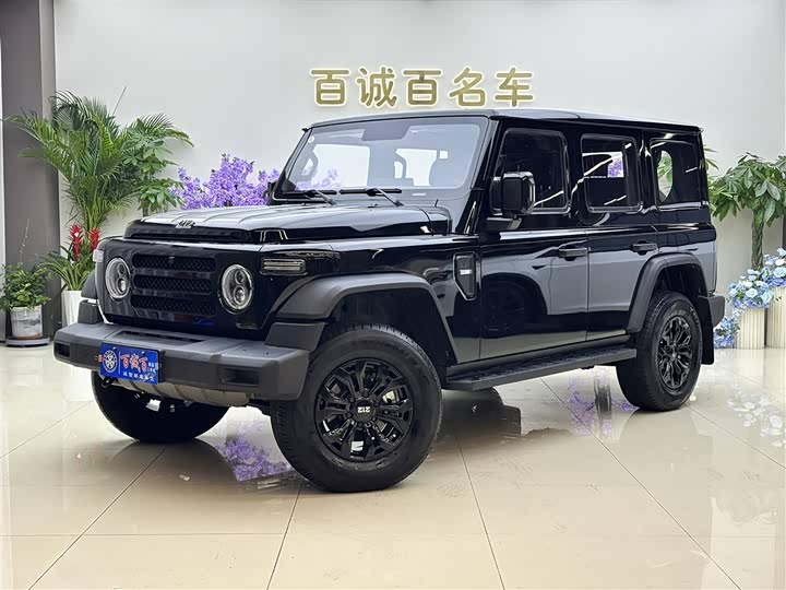 Photo 2 - BAW 212 T01