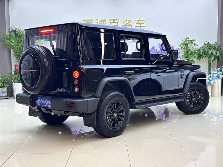 Photo 6 - BAW 212 T01