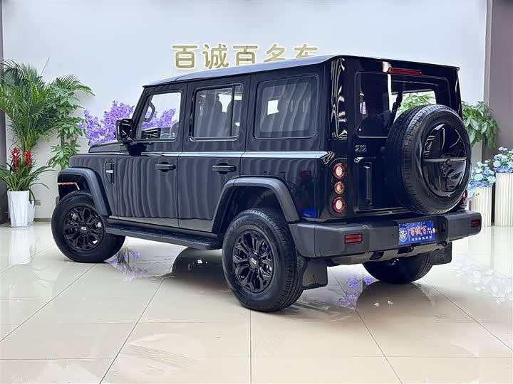 Photo 8 - BAW 212 T01