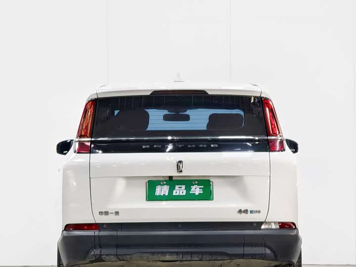 Фото 2 - Bestune NAT