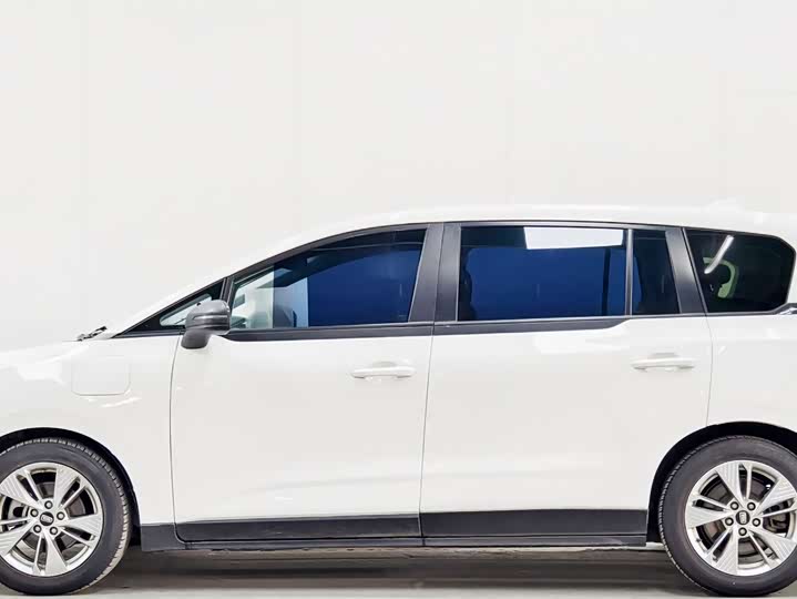 Фото 7 - Bestune NAT