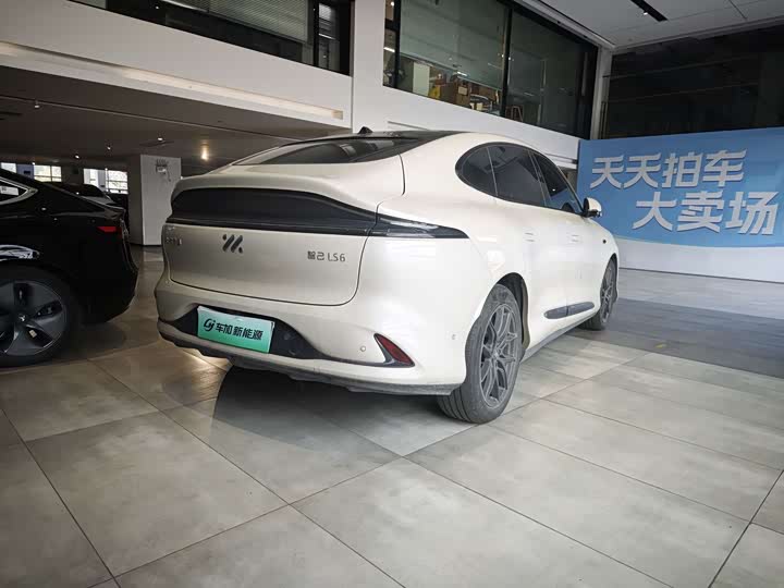 Фото 7 - IM motors LS6