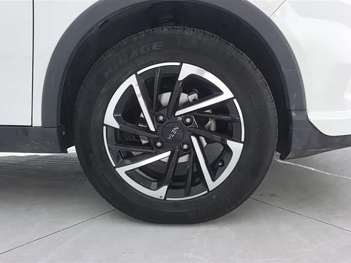 Фото 6 - Hozon V