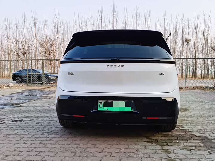 Фото 4 - Zeekr Mix
