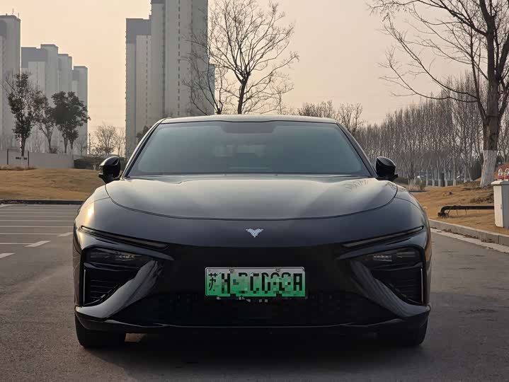 Фото 1 - Hozon S