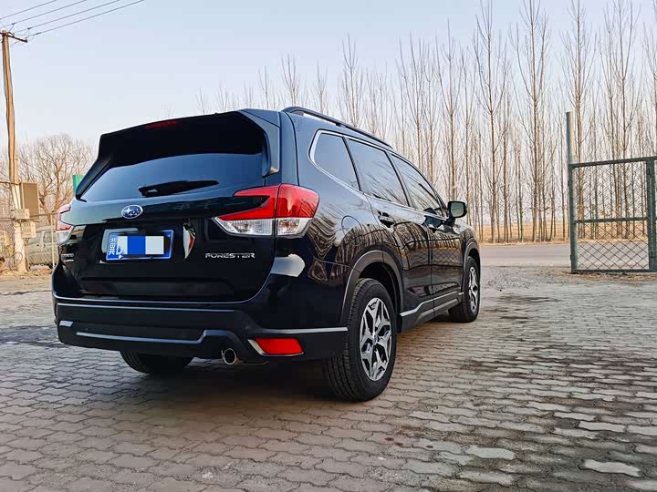 Фото 7 - Subaru Forester