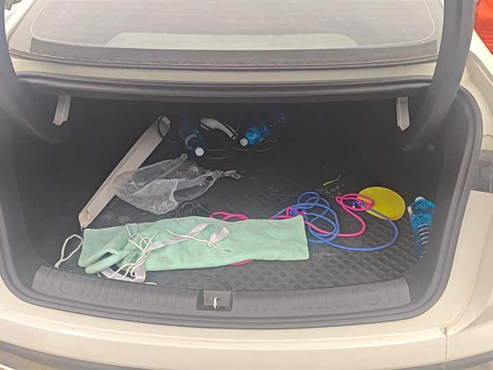 Фото 4 - BYD Seal 06 Hybrid/EV