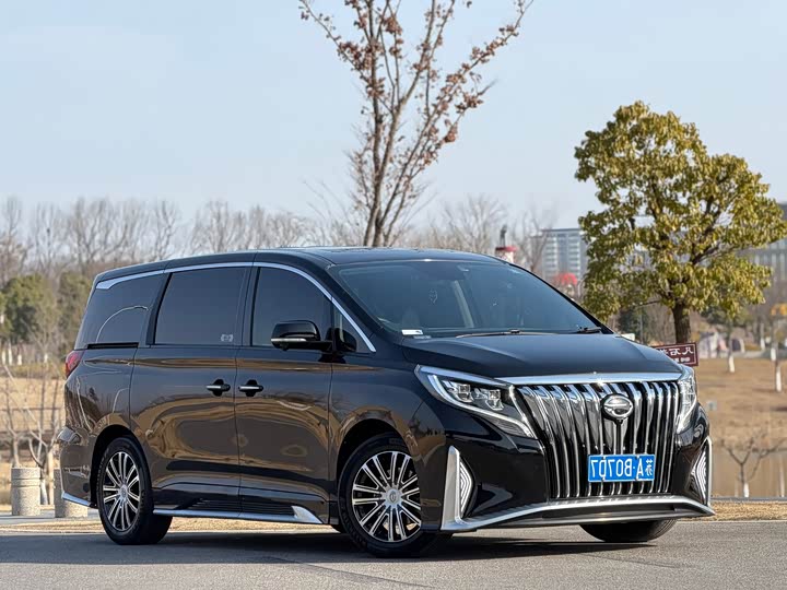 Фото 4 - GAC Trumpchi M8