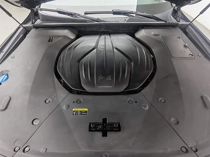 Фото 6 - Hongqi H9