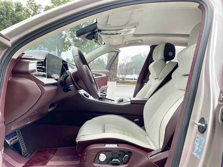 Фото 3 - Hongqi H9