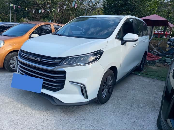 Фото 1 - Maxus G50