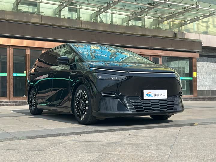 Фото 3 - XPeng X9