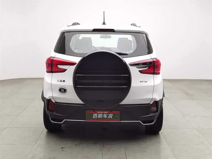 Фото 4 - BYD Yuan Pro