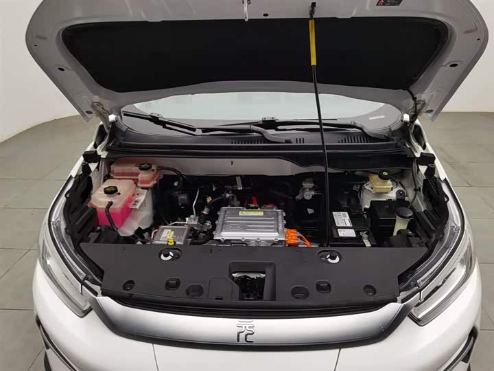 Фото 6 - BYD Yuan Pro