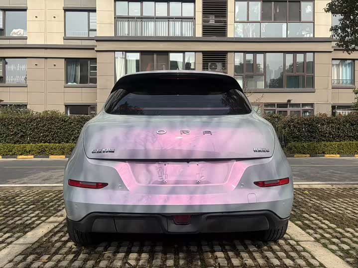 Фото 5 - Ora Good Cat (03)