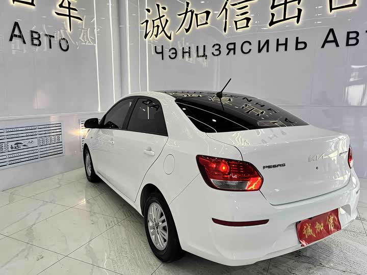 Фото 6 - Kia Pegas