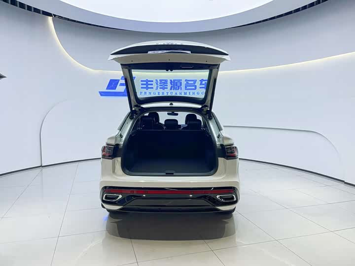 Фото 6 - Volkswagen Tiguan X