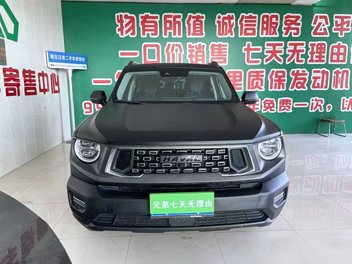 Фото 2 - Haval H-Dog
