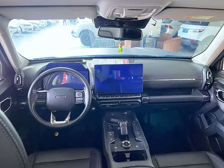 Фото 5 - Haval H-Dog