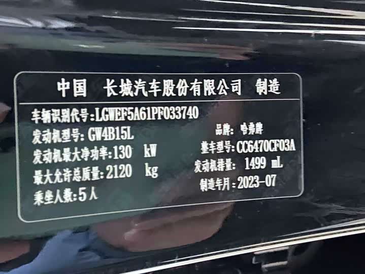 Фото 9 - Haval H-Dog