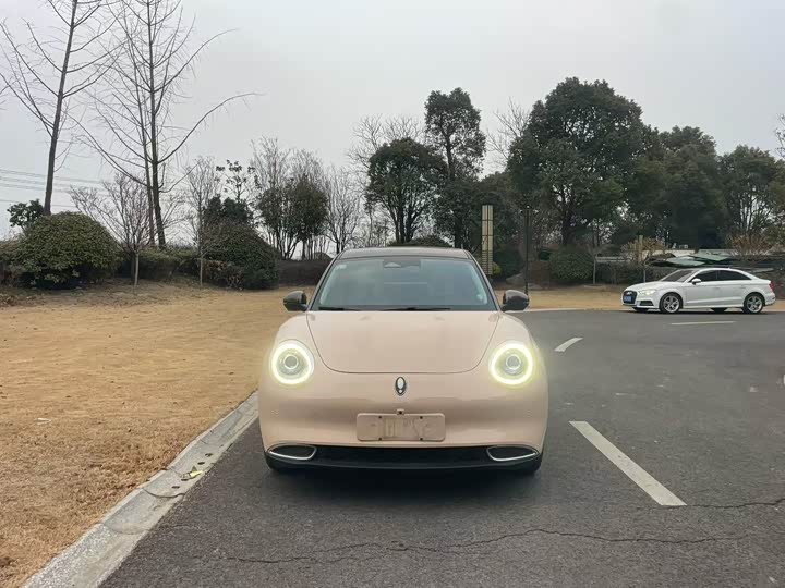 Фото 1 - Ora Good Cat (03)