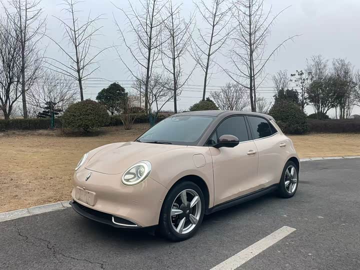 Фото 2 - Ora Good Cat (03)