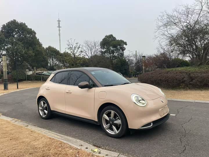 Фото 3 - Ora Good Cat (03)