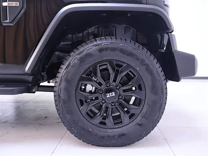 Photo 6 - BAW 212 T01