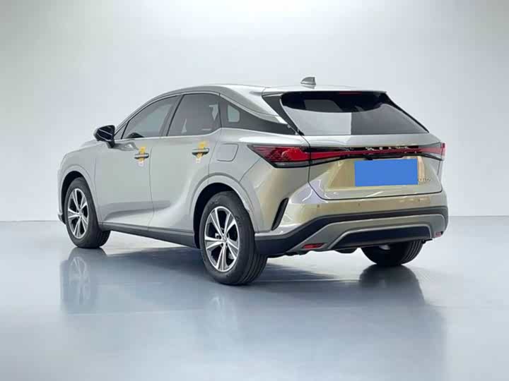 Фото 4 - Lexus RX