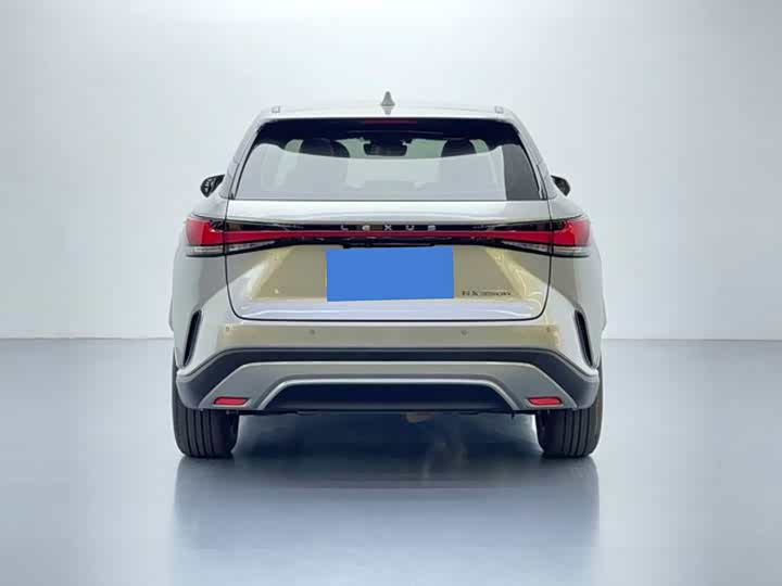 Фото 5 - Lexus RX