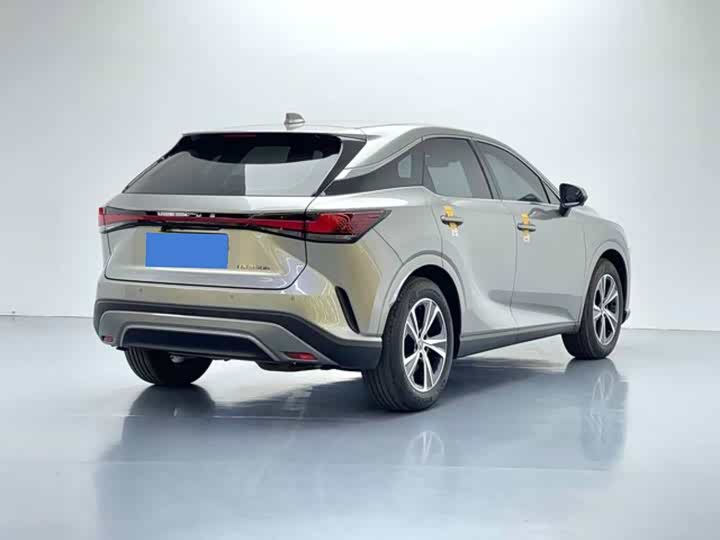 Фото 6 - Lexus RX