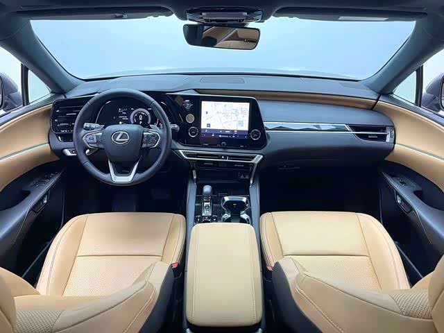 Фото 8 - Lexus RX