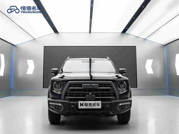 Фото 3 - Haval Dargo