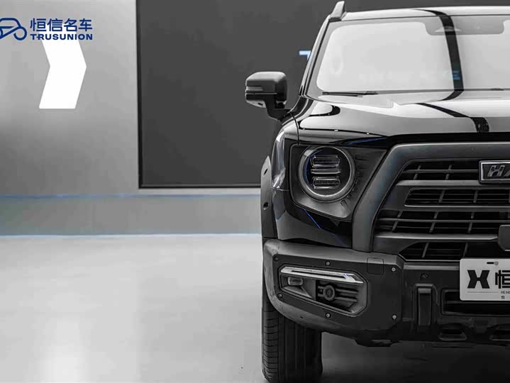 Фото 8 - Haval Dargo