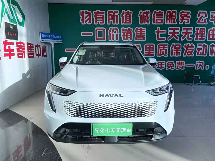 Фото 2 - Haval Ruge Max