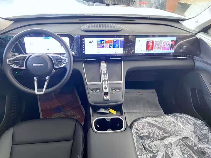 Фото 4 - Haval Ruge Max