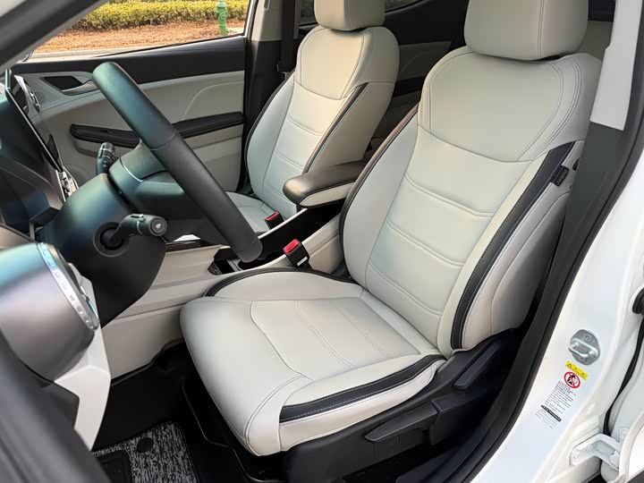 Фото 7 - BYD Yuan Pro