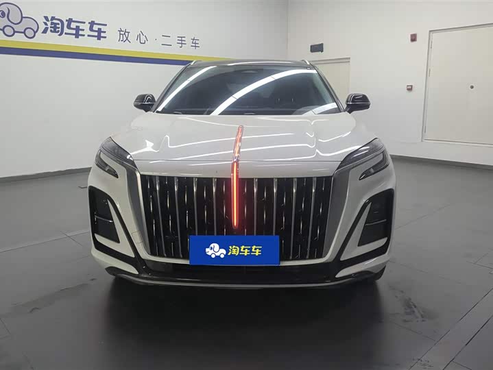 Фото 2 - Hongqi HS3