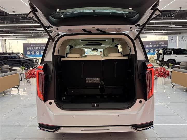 Фото 9 - GAC Trumpchi E9