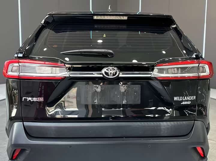 Фото 7 - Toyota Wildlander