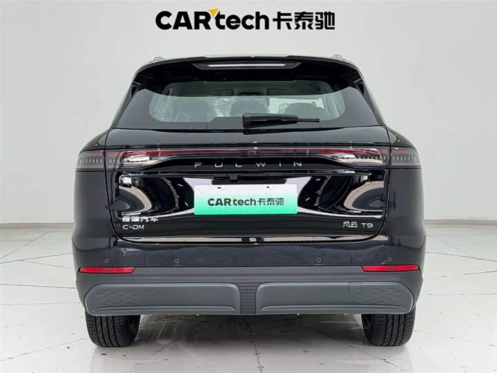 Фото 9 - Chery Fulwin T9