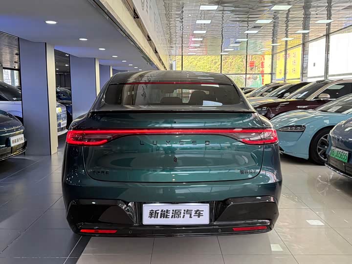 Фото 4 - Luxeed R7