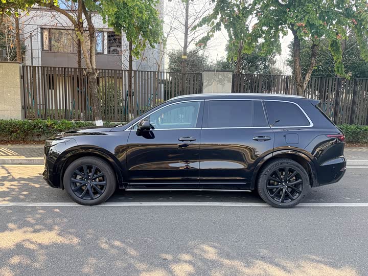 Фото 3 - LiXiang One