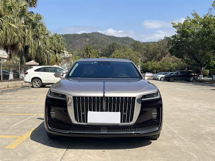 Фото 2 - Hongqi H9