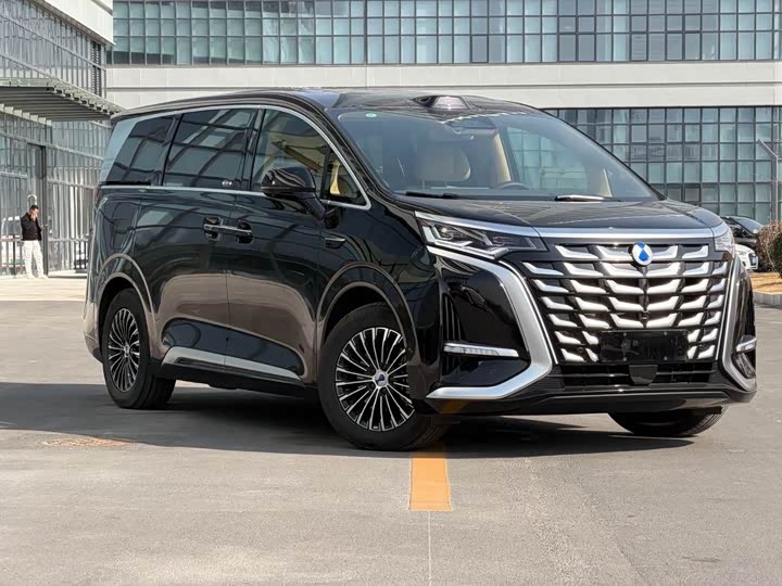 Фото 3 - Denza D9